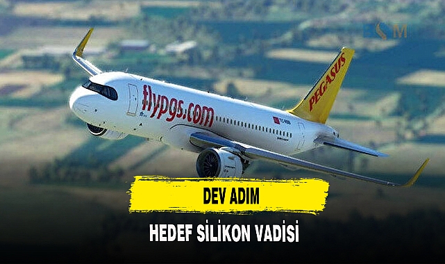 HEDEF SİLİKON VADİSİ
