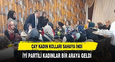 İYİ Partili Kadınlar Sahaya İndi Başkan Mısırlıoğlu Programa Katıldı