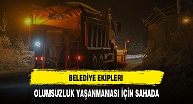Karla Mücadele Ekipleri Sahada