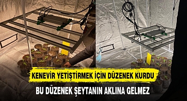 Kenevir Yetiştirmek İçin Düzenek Kurdu Bu Düzenek Şeytanın Aklına Gelmez
