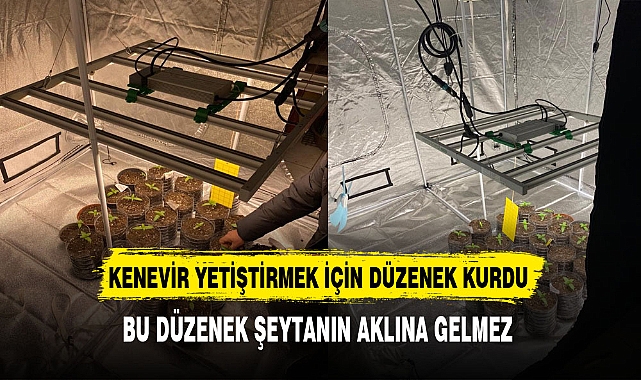 Kenevir Yetiştirmek İçin Düzenek Kurdu Bu Düzenek Şeytanın Aklına Gelmez