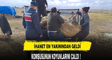 KOMŞUSUNUN KOYUNLARINI ÇALDI !