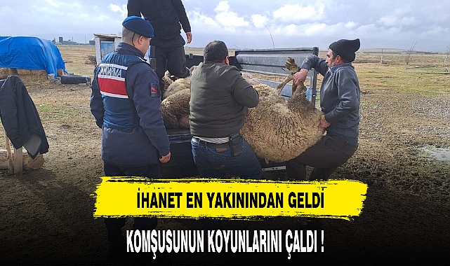 KOMŞUSUNUN KOYUNLARINI ÇALDI !