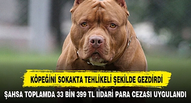 KÖPEĞİNİ SOKAKTA TEHLİKELİ ŞEKİLDE GEZDİRDİ