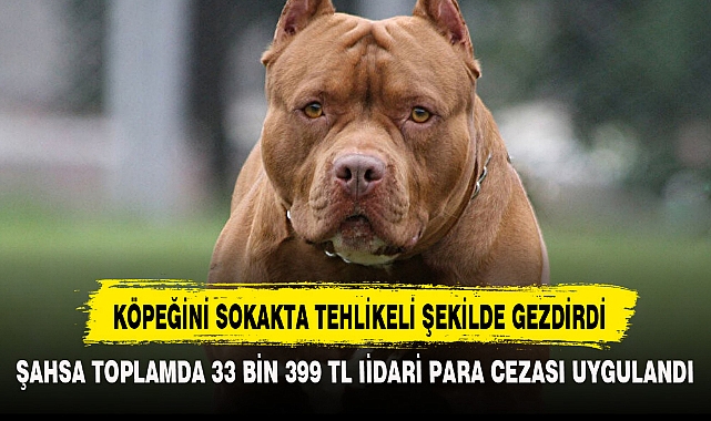KÖPEĞİNİ SOKAKTA TEHLİKELİ ŞEKİLDE GEZDİRDİ