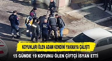 KOYUNLARI ÖLEN ADAM KENDİNİ YAKMAYA ÇALIŞTI