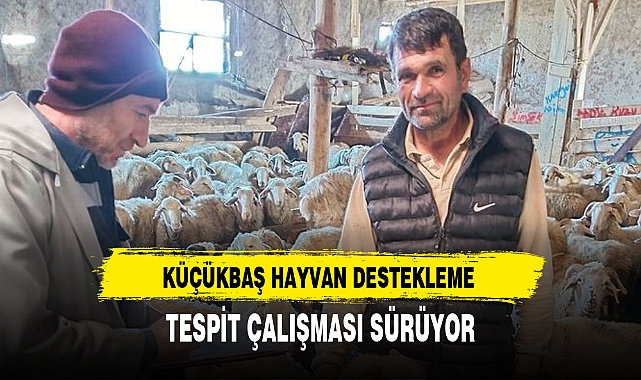 KÜÇÜKBAŞ HAYVAN DESTEKLEME TESPİT ÇALIŞMASI SÜRÜYOR