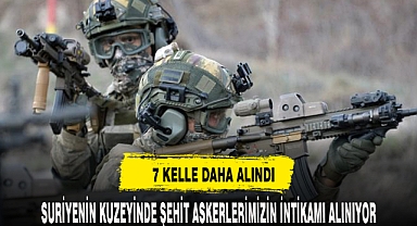 KUZEY SURİYE'DE 7 KELLE DAHA ALINDI