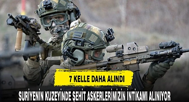 KUZEY SURİYE'DE 7 KELLE DAHA ALINDI