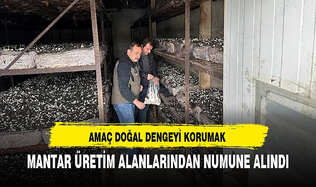 MANTAR ÜRETİM ALANLARINDAN NUMUNE ALINDI