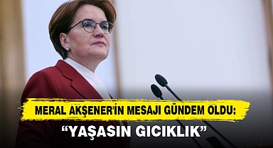 Meral Akşener'in Mesajı Gündem Oldu: “Yaşasın Gıcıklık”