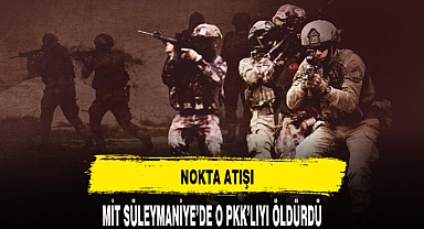 MİTTEN NOKTA ATIŞI OPERASYON