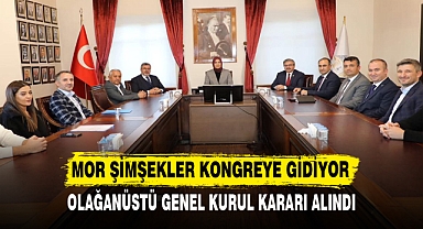 Mor Şimşekler kongreye gidiyor