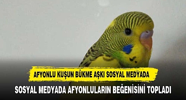 MUHABBET KUŞUNUN BÜKME AŞKI SOSYAL MEDYAYI SALLADI