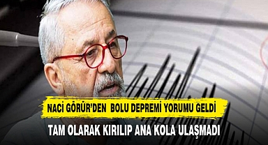 Naci Görür'den Bolu depremi yorumu: 'Tam olarak kırılıp ana kola ulaşamadı'
