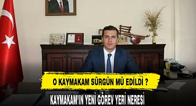 O KAYMAKAM SÜRGÜN MÜ EDİLDİ ?