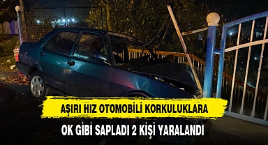 Otomobil Korkuluklara Ok Gibi Saplandı