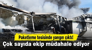Paketleme tesisinde yangın çıktı...Çok sayıda ekip müdahale ediyor!