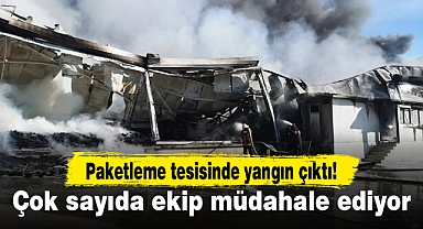 Paketleme tesisinde yangın çıktı...Çok sayıda ekip müdahale ediyor!