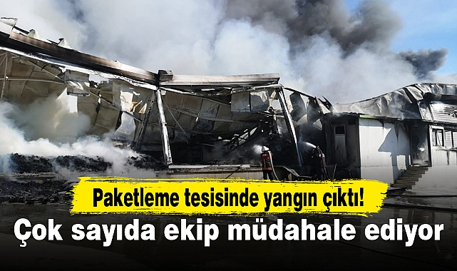 Paketleme tesisinde yangın çıktı...Çok sayıda ekip müdahale ediyor!
