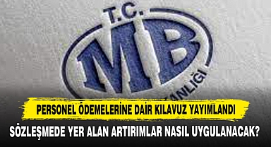 Personel Ödemelerine Dair Kılavuz Yayımlandı
