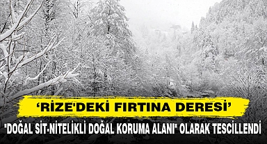Rize'deki Fırtına Deresi