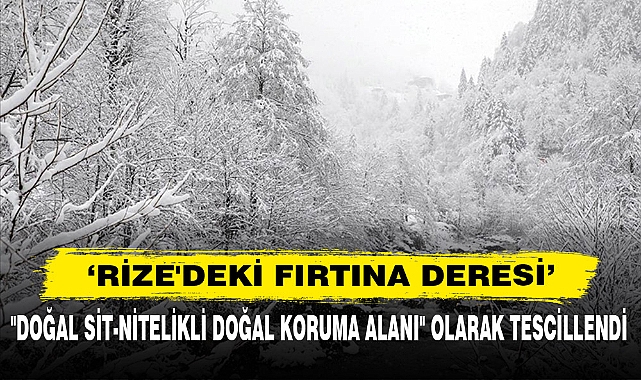 Rize'deki Fırtına Deresi "Doğal Sit-Nitelikli Doğal Koruma Alanı" Olarak Tescillendi