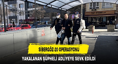 SİBERGÖZ-20 OPERASYONU