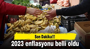 Son dakika: 2023 enflasyonu belli oldu