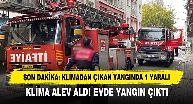 Son Dakika: Klimadan Çıkan Yangında 1 Yaralı