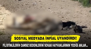 Sosyal Medyada İnfial Uyandırdı!