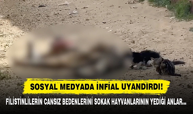 Sosyal Medyada İnfial Uyandırdı!