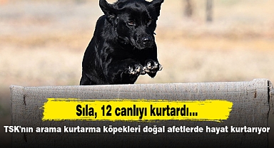 TSK'nın arama kurtarma köpekleri doğal afetlerde hayat kurtarıyor