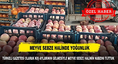 TÜRKELİ GAZETESİ OLARAK KIŞ AYLARININ GELMESİYLE MEYVE SEBZE HALİNİN NABZINI TUTTUK