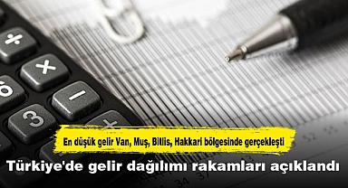 Türkiye'de gelir dağılımı rakamları açıklandı