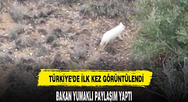 TÜRKİYE'DE İLK KEZ GÖRÜNTÜLENDİ