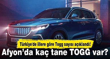 Türkiye'de illere göre Togg sayısı açıklandı! Afyon'da kaç tane TOGG var?