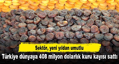 Türkiye dünyaya 408 milyon dolarlık kuru kayısı sattı