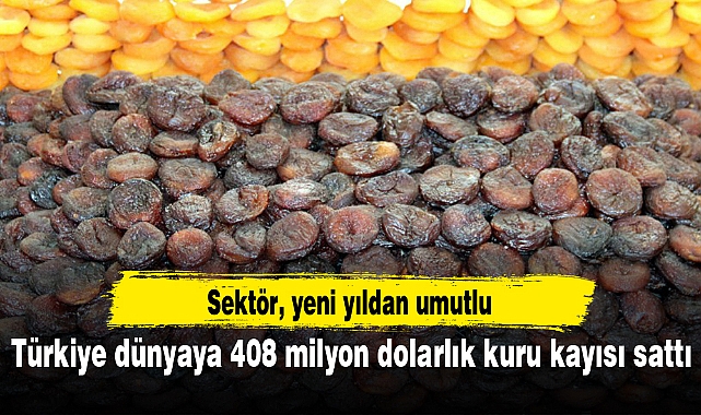 Türkiye dünyaya 408 milyon dolarlık kuru kayısı sattı