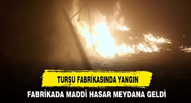 TURŞU FABRİKASINDA YANGIN