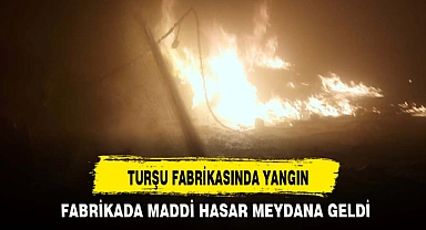 TURŞU FABRİKASINDA YANGIN