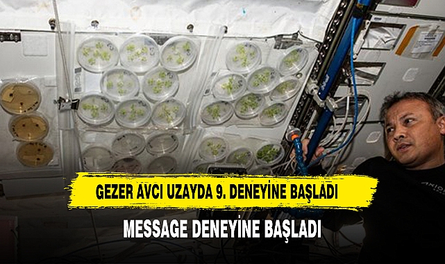 Uzayda 9. deney: Gezeravcı 'MESSAGE' deneyine başladı