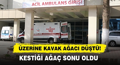 Üzerine Kavak Ağacı Düştü! Kestiği Ağaç Sonu Oldu…