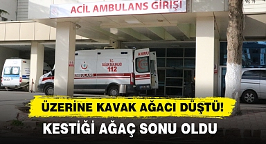 Üzerine Kavak Ağacı Düştü! Kestiği Ağaç Sonu Oldu…