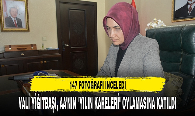 VALİ YİĞİTBAŞI, AA'NIN "YILIN KARELERİ" OYLAMASINA KATILDI