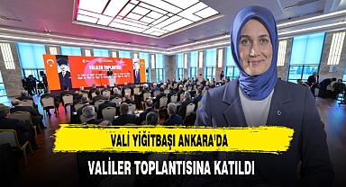 Vali Yiğitbaşı Ankara'da Valiler Toplantısına Katıldı