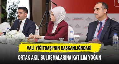 Vali Yiğitbaşı Başkanlığındaki Ortak Akıl Buluşmalarına Katılım Yoğun