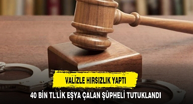 VALİZLE HIRSIZLIK YAPTI