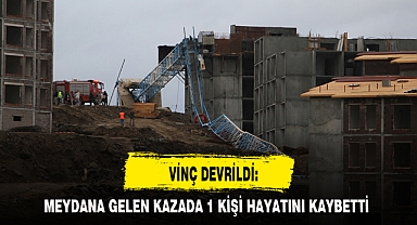 VİNÇ DEVRİLDİ: