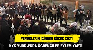 YEMEKLERIN İÇİNDEN BÖCEK ÇIKTI